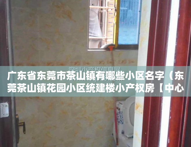 广东省东莞市茶山镇有哪些小区名字（东莞茶山镇花园小区统建楼小产权房【中心花园】三房98万起‍茶山唯一高品质楼盘）