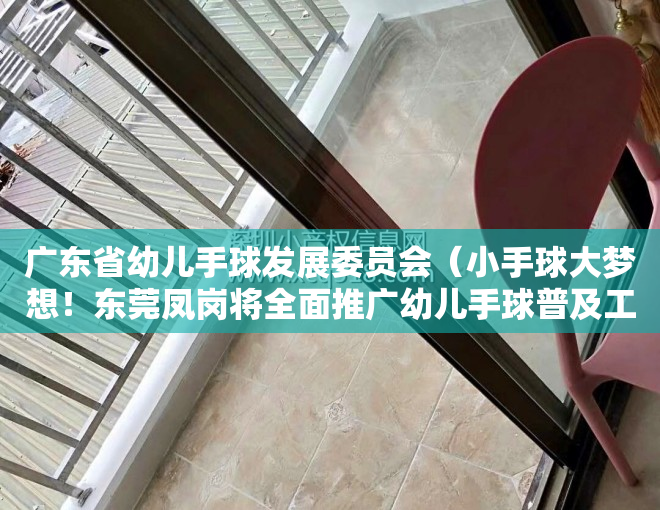 广东省幼儿手球发展委员会（小手球大梦想！东莞凤岗将全面推广幼儿手球普及工作）