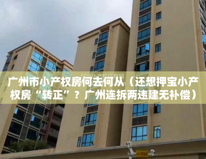 广州市小产权房何去何从（还想押宝小产权房“转正”？广州连拆两违建无补偿）