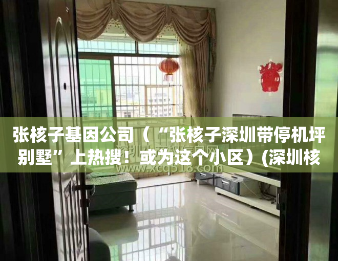 张核子基因公司（“张核子深圳带停机坪别墅”上热搜！或为这个小区）(深圳核子基因张核子简历)