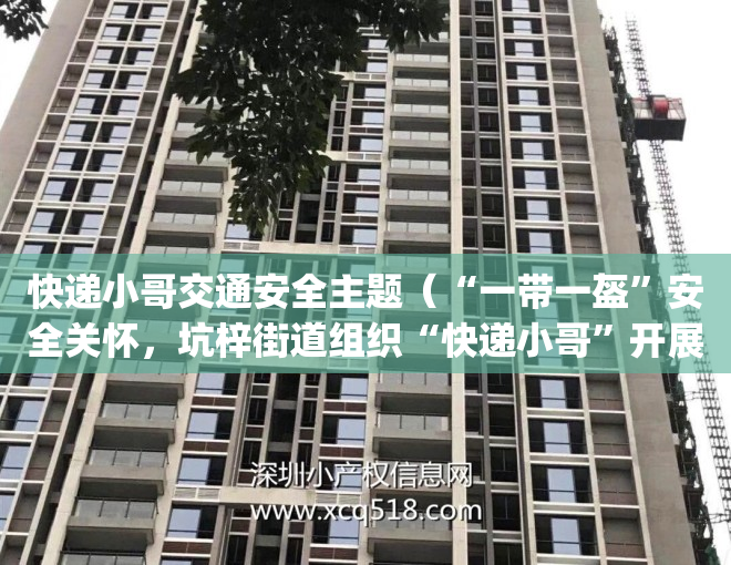 快递小哥交通安全主题（“一带一盔”安全关怀，坑梓街道组织“快递小哥”开展交通安全教育培训_深圳新闻网）