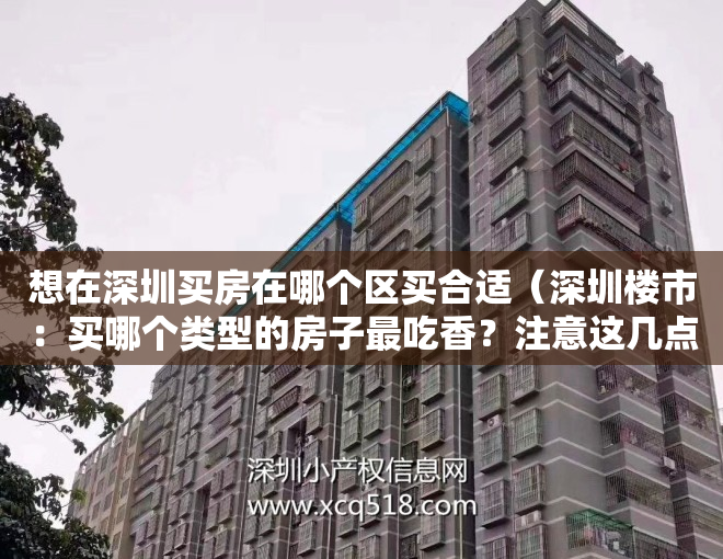 想在深圳买房在哪个区买合适（深圳楼市：买哪个类型的房子最吃香？注意这几点！）