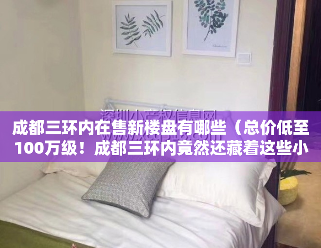 成都三环内在售新楼盘有哪些（总价低至100万级！成都三环内竟然还藏着这些小户型新盘  记者跑盘）