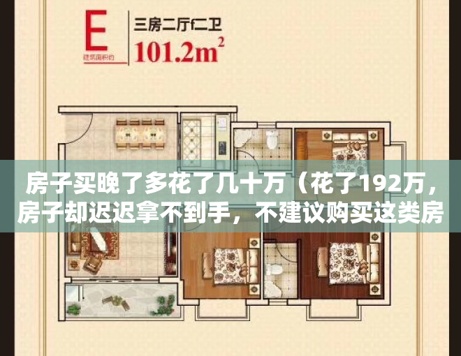 房子买晚了多花了几十万（花了192万，房子却迟迟拿不到手，不建议购买这类房产）