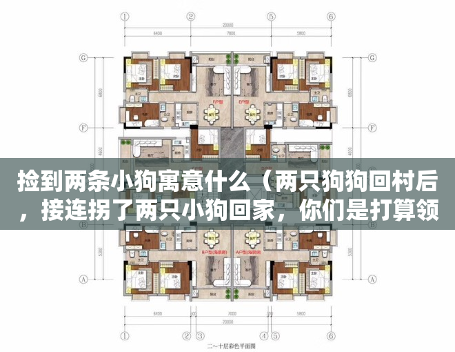 捡到两条小狗寓意什么（两只狗狗回村后，接连拐了两只小狗回家，你们是打算领养孩子吗？）