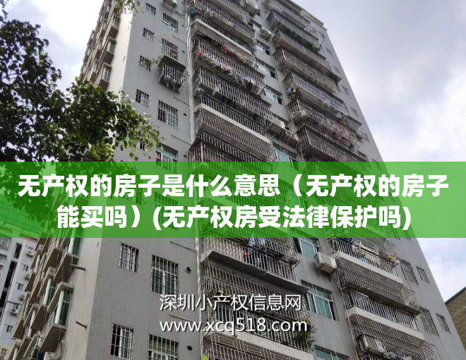 无产权的房子是什么意思（无产权的房子能买吗）(无产权房受法律保护吗)