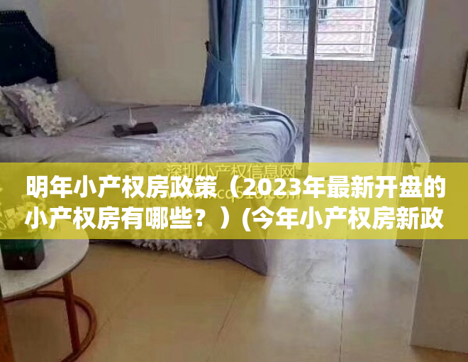 明年小产权房政策（2023年最新开盘的小产权房有哪些？）(今年小产权房新政策)