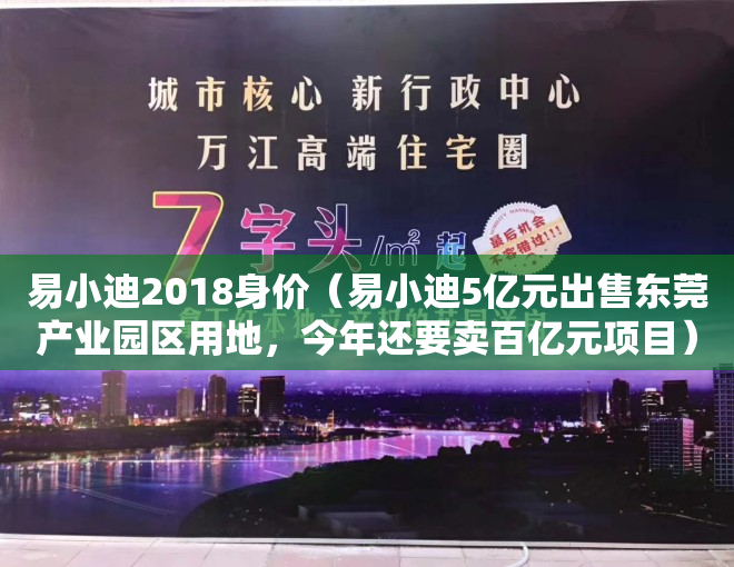 易小迪2018身价（易小迪5亿元出售东莞产业园区用地，今年还要卖百亿元项目）