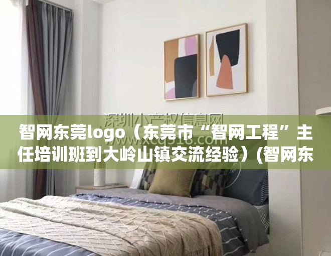 智网东莞logo（东莞市“智网工程”主任培训班到大岭山镇交流经验）(智网东莞主要负责什么)