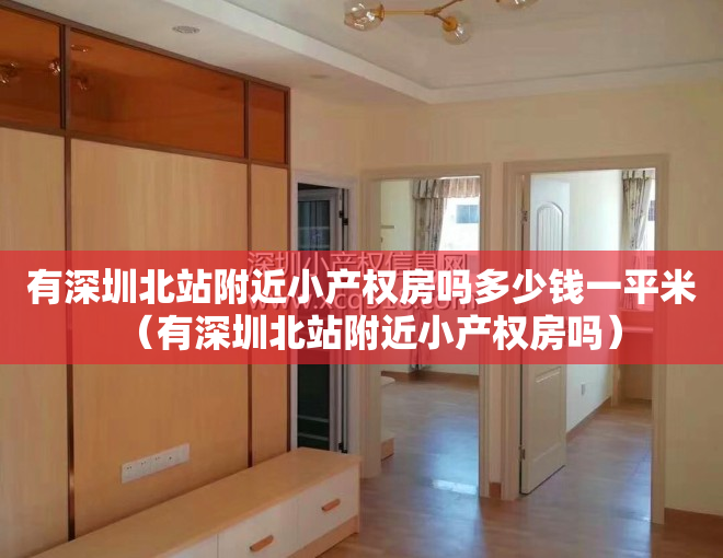 有深圳北站附近小产权房吗多少钱一平米（有深圳北站附近小产权房吗）
