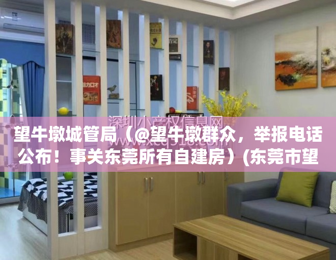 望牛墩城管局（@望牛墩群众，举报电话公布！事关东莞所有自建房）(东莞市望牛墩城管执法局局长)