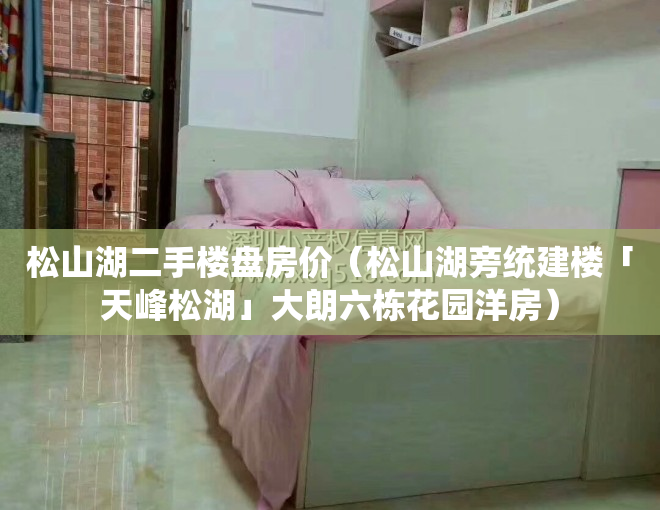 松山湖二手楼盘房价（松山湖旁统建楼「天峰松湖」大朗六栋花园洋房）