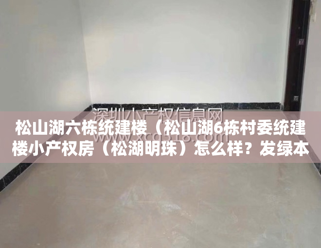 松山湖六栋统建楼（松山湖6栋村委统建楼小产权房（松湖明珠）怎么样？发绿本吗？）