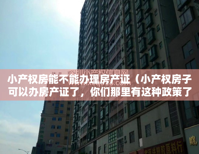 小产权房能不能办理房产证（小产权房子可以办房产证了，你们那里有这种政策了？）