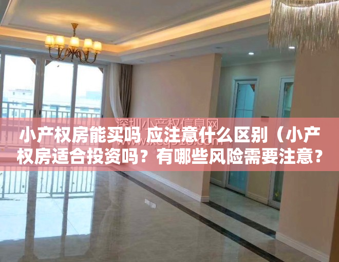 小产权房能买吗 应注意什么区别（小产权房适合投资吗？有哪些风险需要注意？）