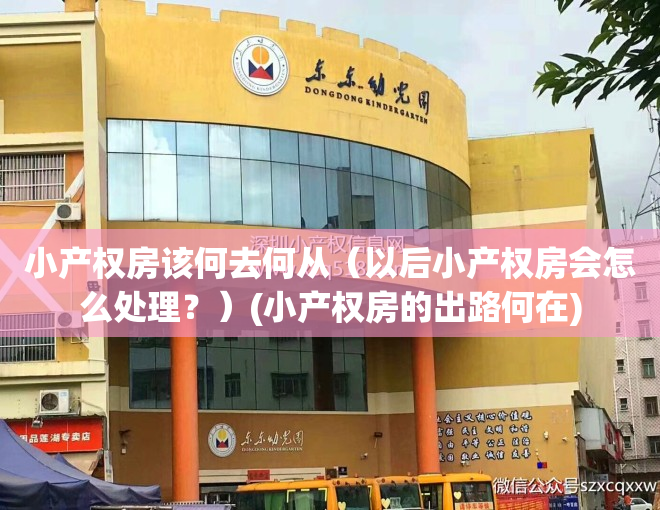 小产权房该何去何从（以后小产权房会怎么处理？）(小产权房的出路何在)