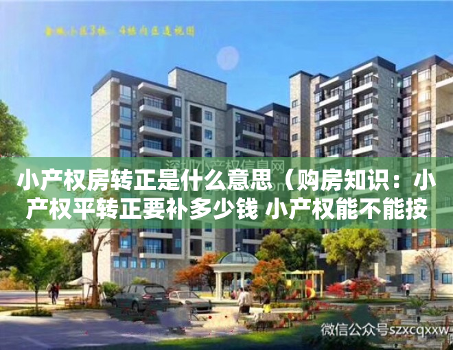 小产权房转正是什么意思（购房知识：小产权平转正要补多少钱 小产权能不能按揭贷款）