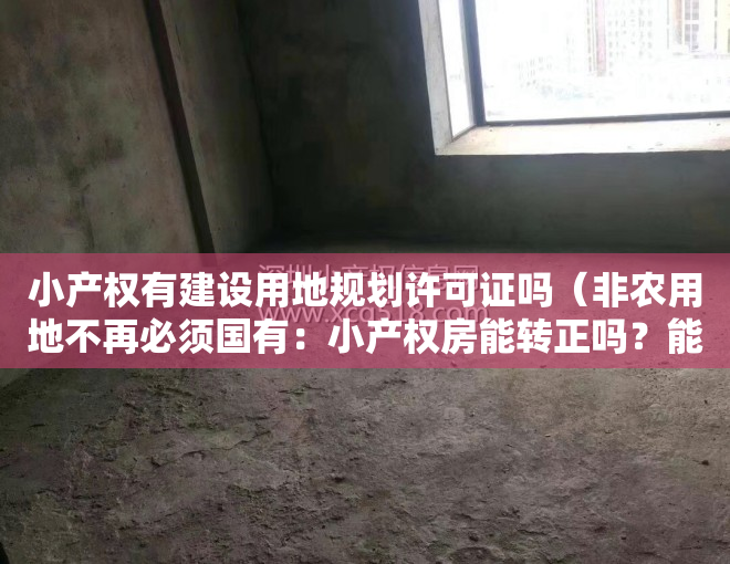 小产权有建设用地规划许可证吗（非农用地不再必须国有：小产权房能转正吗？能下乡买宅基地吗？）