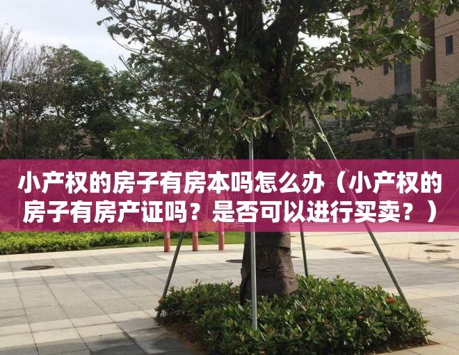 小产权的房子有房本吗怎么办（小产权的房子有房产证吗？是否可以进行买卖？）