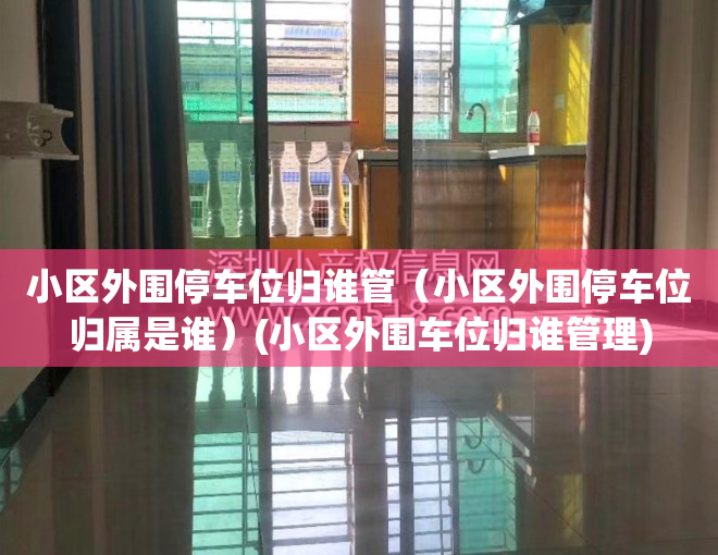 小区外围停车位归谁管（小区外围停车位归属是谁）(小区外围车位归谁管理)