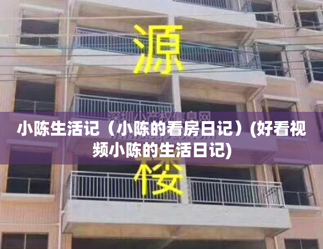 小陈生活记(小陈的看房日记)(好看视频小陈的生活日记)
