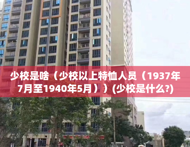 少校是啥（少校以上特恤人员（1937年7月至1940年5月））(少校是什么?)