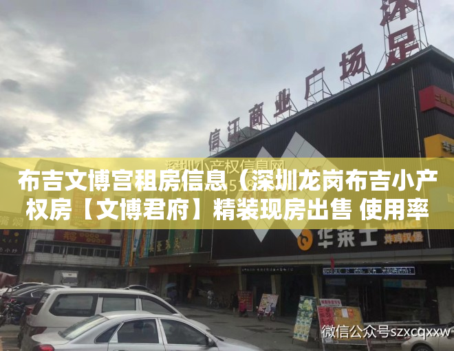 布吉文博宫租房信息（深圳龙岗布吉小产权房【文博君府】精装现房出售 使用率80%以上）