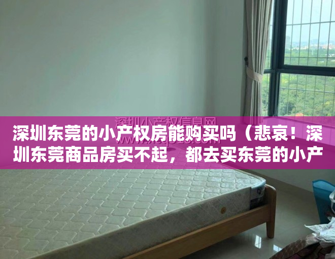 深圳东莞的小产权房能购买吗（悲哀！深圳东莞商品房买不起，都去买东莞的小产权房？）