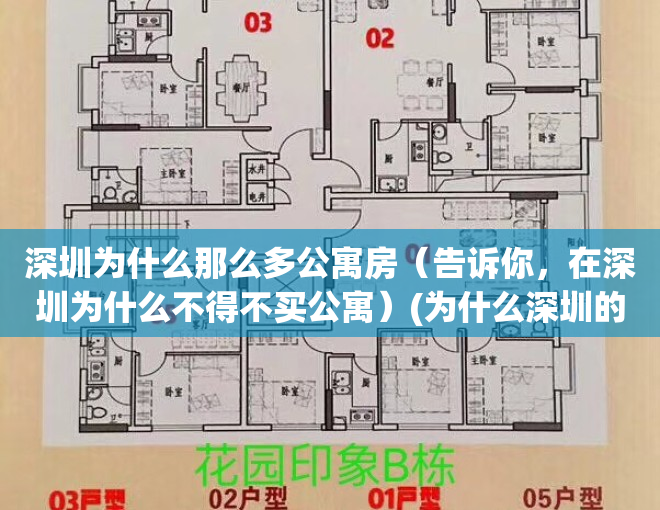 深圳为什么那么多公寓房（告诉你，在深圳为什么不得不买公寓）(为什么深圳的公寓不涨价)