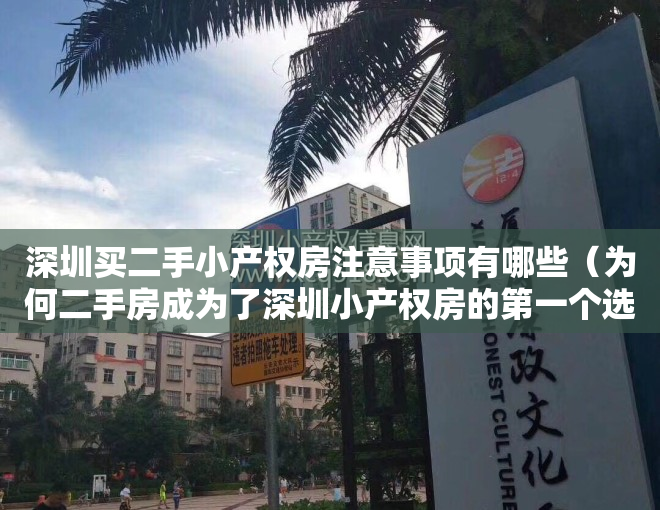 深圳买二手小产权房注意事项有哪些（为何二手房成为了深圳小产权房的第一个选择呢？）