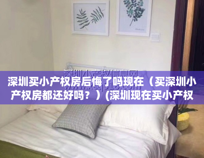 深圳买小产权房后悔了吗现在（买深圳小产权房都还好吗？）(深圳现在买小产权房有保障吗)