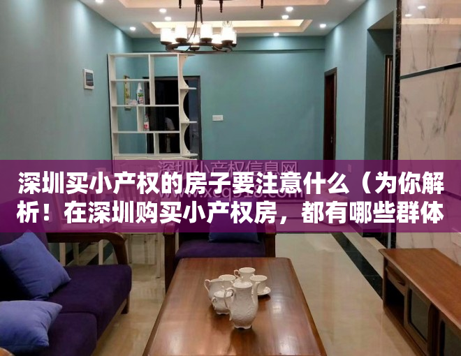 深圳买小产权的房子要注意什么（为你解析！在深圳购买小产权房，都有哪些群体呢？）