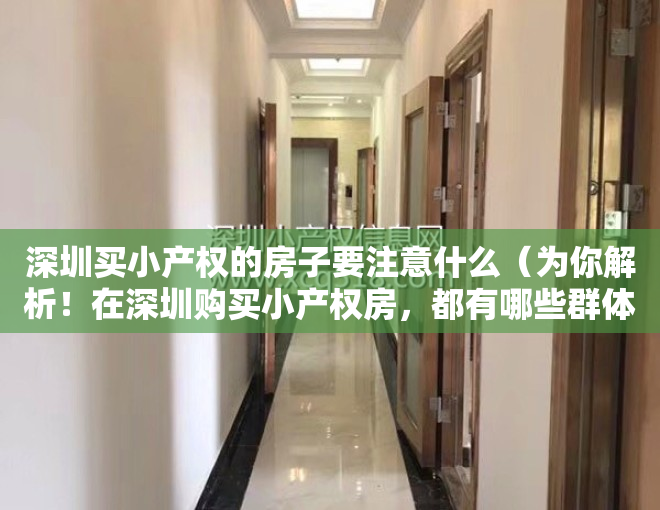 深圳买小产权的房子要注意什么（为你解析！在深圳购买小产权房，都有哪些群体呢？）