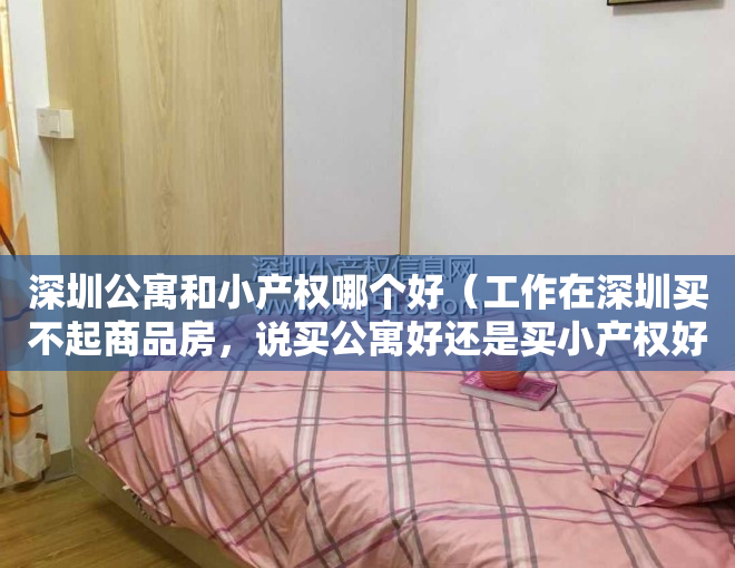 深圳公寓和小产权哪个好（工作在深圳买不起商品房，说买公寓好还是买小产权好，）