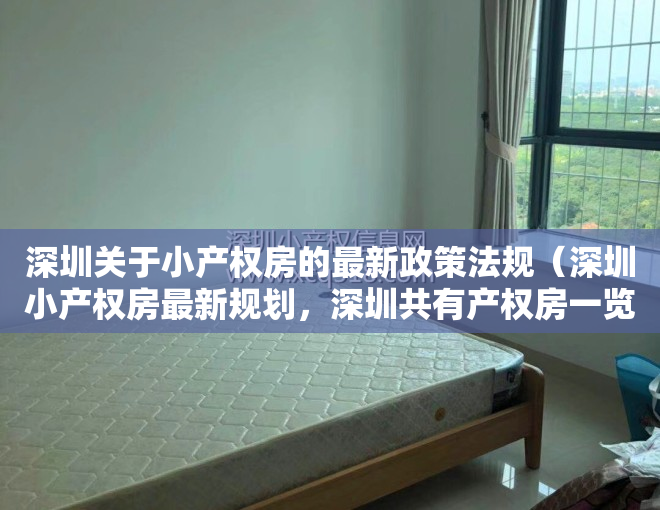 深圳关于小产权房的最新政策法规（深圳小产权房最新规划，深圳共有产权房一览表）