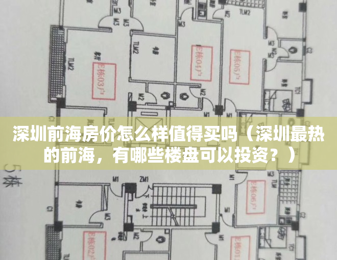 深圳前海房价怎么样值得买吗（深圳最热的前海，有哪些楼盘可以投资？）