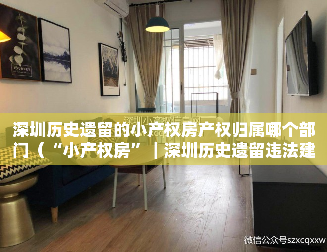 深圳历史遗留的小产权房产权归属哪个部门（“小产权房”｜深圳历史遗留违法建筑“绿本房”的强制执行）