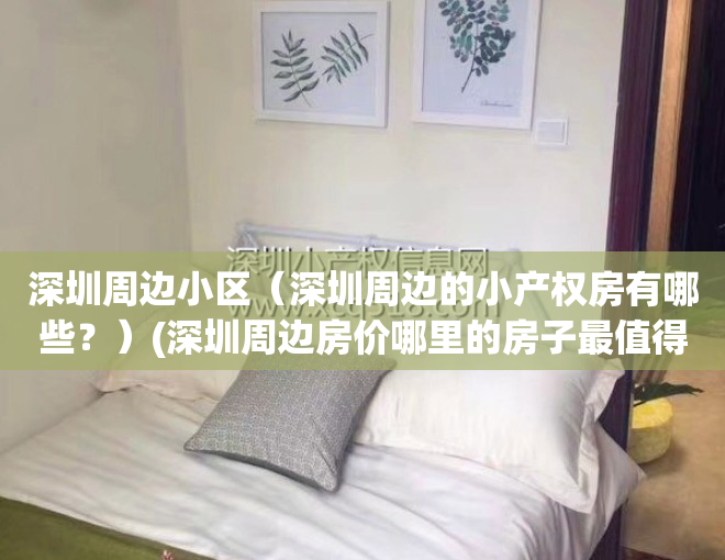 深圳周边小区（深圳周边的小产权房有哪些？）(深圳周边房价哪里的房子最值得买?)