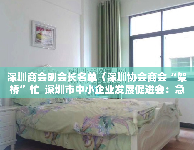 深圳商会副会长名单（深圳协会商会“架桥”忙  深圳市中小企业发展促进会：急中小微企业之所急）