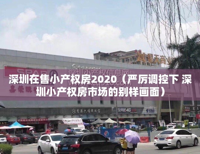 深圳在售小产权房2020（严厉调控下 深圳小产权房市场的别样画面）