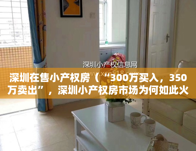 深圳在售小产权房（“300万买入，350万卖出”，深圳小产权房市场为何如此火爆？）