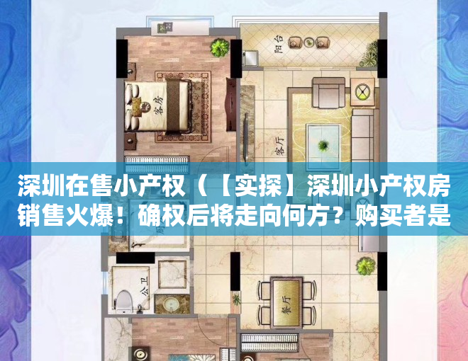 深圳在售小产权（【实探】深圳小产权房销售火爆！确权后将走向何方？购买者是这么想的……）