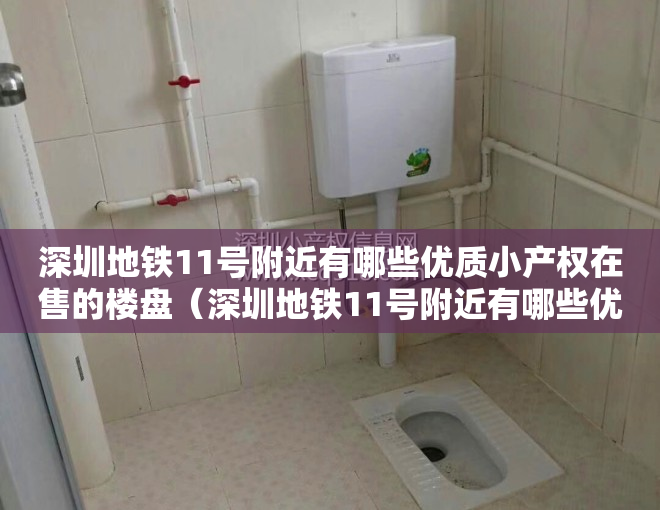 深圳地铁11号附近有哪些优质小产权在售的楼盘（深圳地铁11号附近有哪些优质小产权在售？）