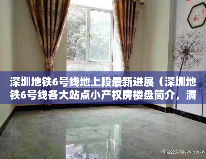 深圳地铁6号线地上段最新进展（深圳地铁6号线各大站点小产权房楼盘简介，满足你一切需求）
