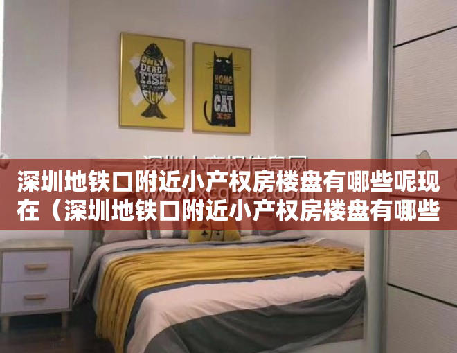 深圳地铁口附近小产权房楼盘有哪些呢现在（深圳地铁口附近小产权房楼盘有哪些？）