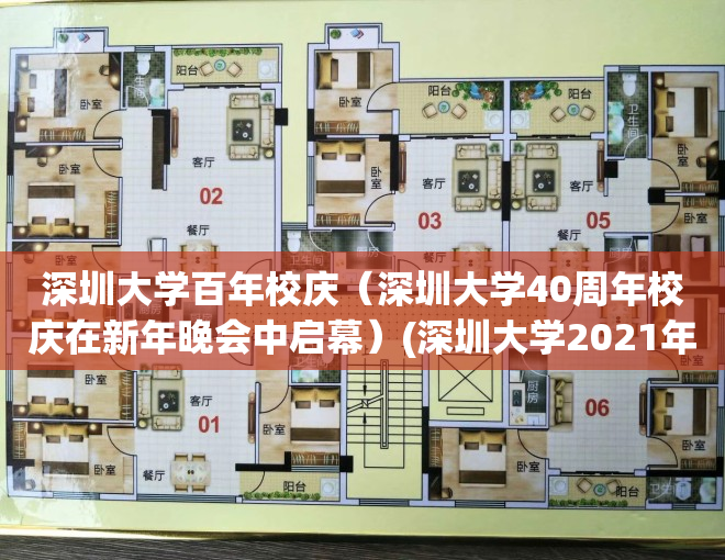 深圳大学百年校庆（深圳大学40周年校庆在新年晚会中启幕）(深圳大学2021年毕业典礼筹办)