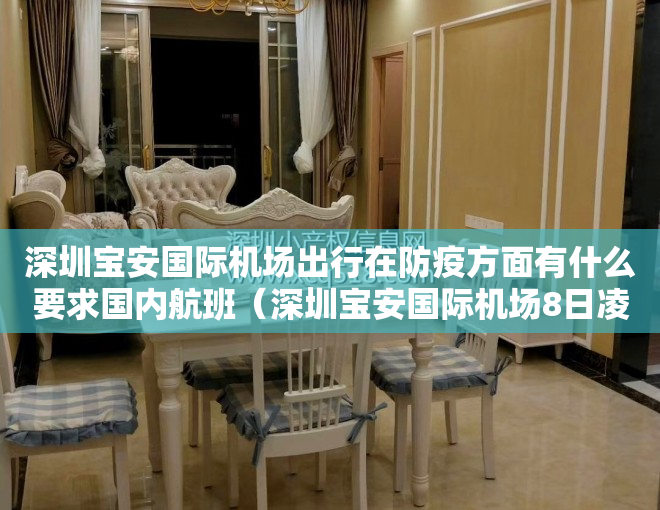 深圳宝安国际机场出行在防疫方面有什么要求国内航班（深圳宝安国际机场8日凌晨迎来入境免隔离后首批旅客）