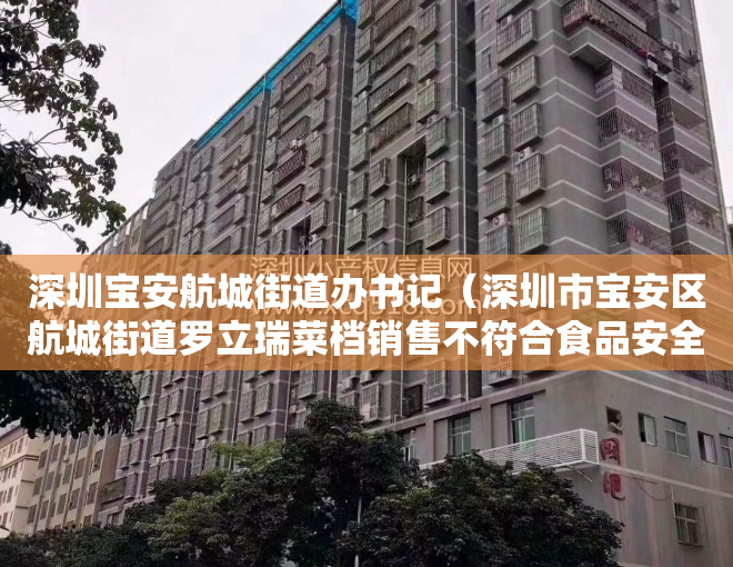 深圳宝安航城街道办书记(深圳市宝安区航城街道罗立瑞菜档销售不符合食品安全标准的食用农产品案)