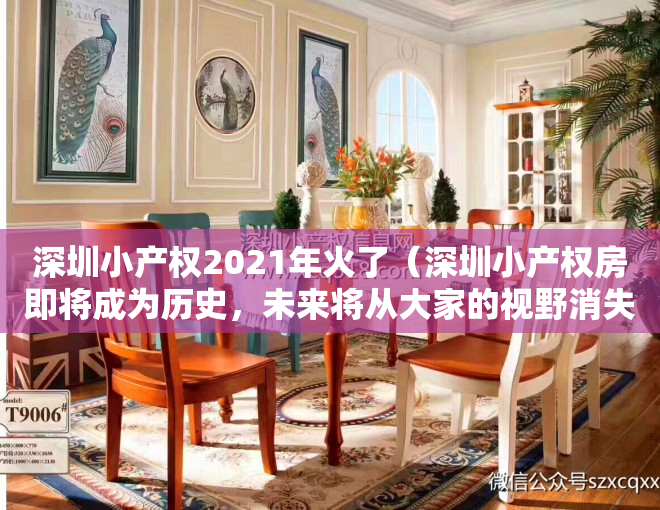深圳小产权2021年火了(深圳小产权房即将成为历史,未来将从大家的视野消失……)