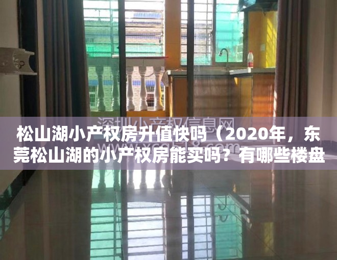 松山湖小产权房升值快吗（2020年，东莞松山湖的小产权房能买吗？有哪些楼盘值得关注？）